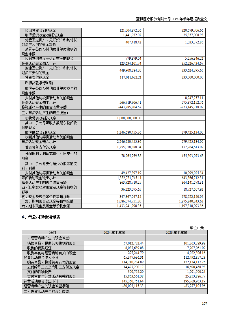 尊龙凯时股份有限公司2024年半年度报告_107