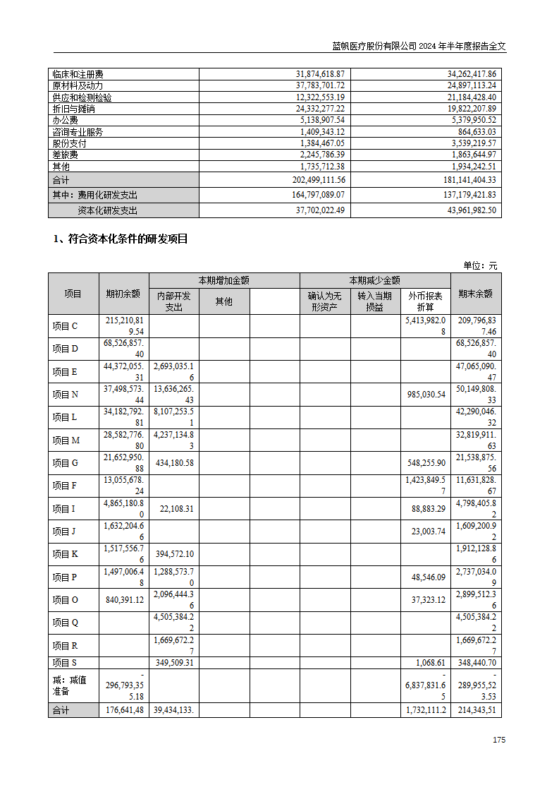 尊龙凯时股份有限公司2024年半年度报告_175