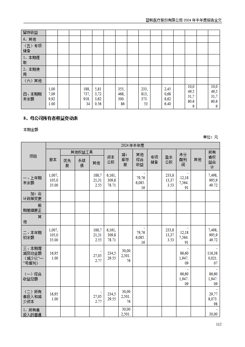 尊龙凯时股份有限公司2024年半年度报告_112